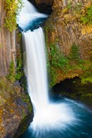 Framed Toketee Falls, Umpqua National Forest, Oregon