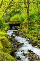 Framed Wahkeena Falls, Oregon