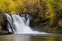 Framed Abrams Falls Landscape, Great Smoky Mountains National Park