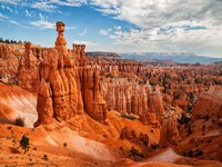 Framed Thor's Hammer At Bryce Canyon National Park