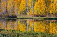 Framed Round Lake Panorama, Utah