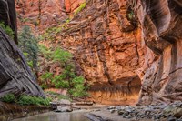 Framed Zion Narrows, Utah