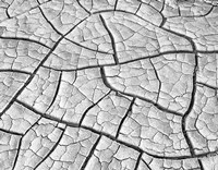 Framed Wahweap Mud Cracks, Arizona