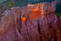 Framed First Light On The Hoodoos At Sunrise Point, Bryce Canyon National Park