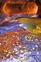 Framed Subway Along North Creek With Fallen Leaves, Utah