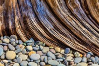 Framed Beach Rocks And Driftwood