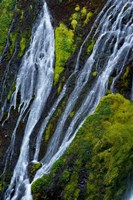 Framed Panther Falls, Washington State