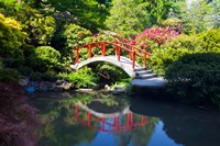 Framed Moon Bridge In The Kubota Gardensm Washington State