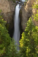 Framed Tower Falls, Yellowstone National Park, Wyoming