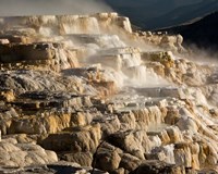 Framed Mammoth Hot Springs, Yellowstone National Park, Wyoming