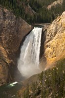 Framed Lower Falls Of The Yellowstone, Lookout Point, Wyoming