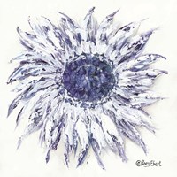 Framed Blue Sunflower