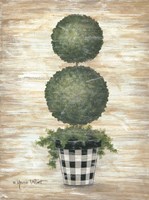 Framed Gingham Topiary Spheres