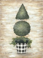 Framed Gingham Topiary Cone