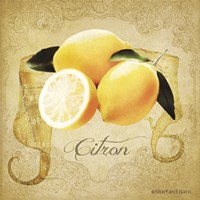 Framed 'Vintage Lemons Citron' border=