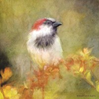 Framed Backyard Bird in Autumn