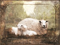 Framed Vintage Ewe and Sleeping Lambs