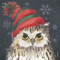 Framed Christmas Owl