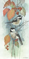 Framed New Chickadee I