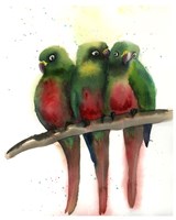 Framed Green Parrots