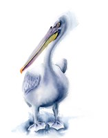 Framed Pelican Blue