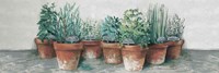 Framed Pots of Herbs II Cottage v2