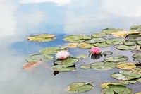 Framed Monet's Garden