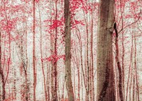 Framed Pink & Brown Fantasy Forest