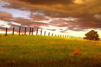 Framed Fenceline, South Dakota