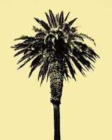 Framed Palm Tree 1996 (Yellow)