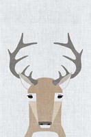 Framed Whitetail Deer