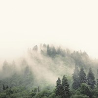 Framed Smoky Mountains