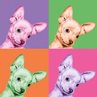 Framed Sweet Chihuahua Pop