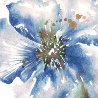 Framed 'Blue Watercolor Poppy Close Up II' border=