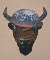 Framed Bison Peak