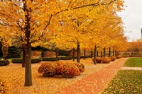 Framed Fall Walkway