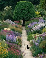 Framed Garden Cat