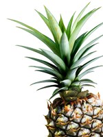Framed Pineapple (color)