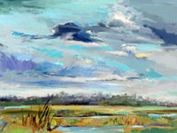 Framed Marsh Skies