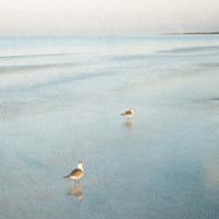 Framed Two Birds on Beach