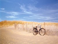 Framed Cape Cod