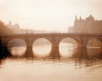 Framed Pont Neuf, Paris