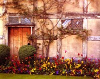 Framed Shakespeare's House