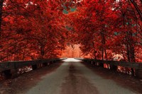 Framed Bridge (Red)