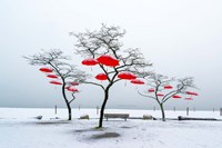 Framed Red Umbrellas
