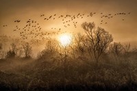 Framed Flight