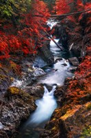 Framed Water in the Fall