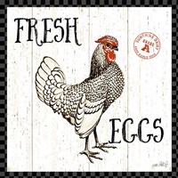 Framed Free Range Fresh IV Checker Border