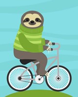 Framed Cycling Sloth