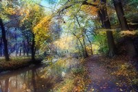 Framed Autumn Walk